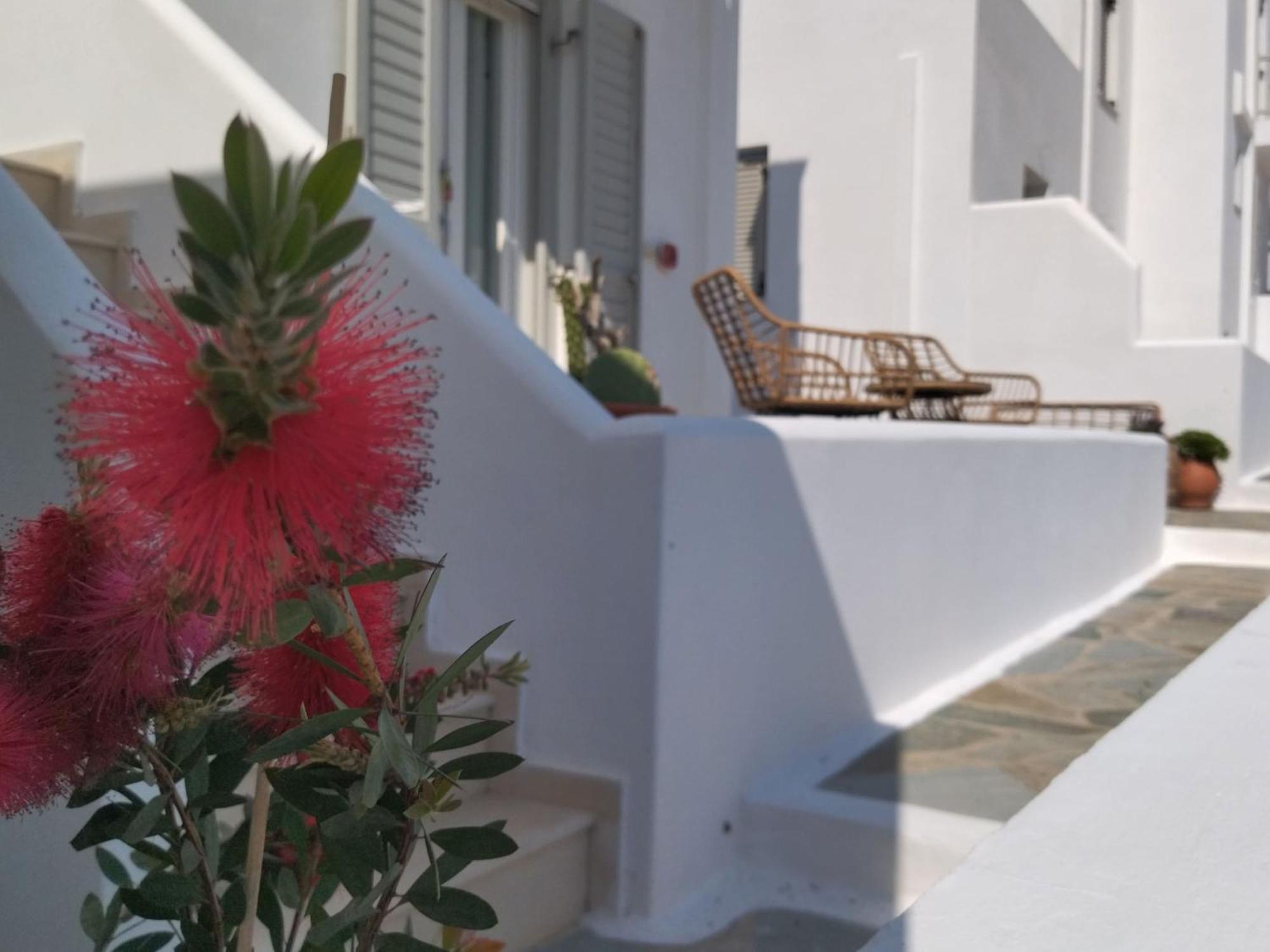 Gaia Serifos Apartments Rámos Zimmer foto